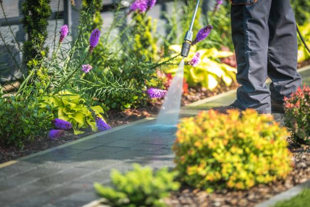 Lincolnia, VA  Pressure Washing Services Company